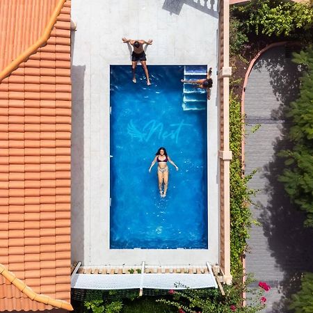 Duque Nest Hostel Costa Adeje  Exterior photo
